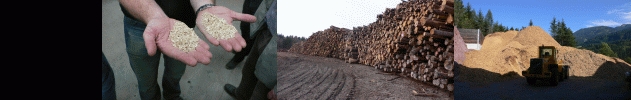 aprie biomassa