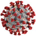 Rendering 3D del SARS-CoV-2 (fonte Centers for Disease Control and Prevention)